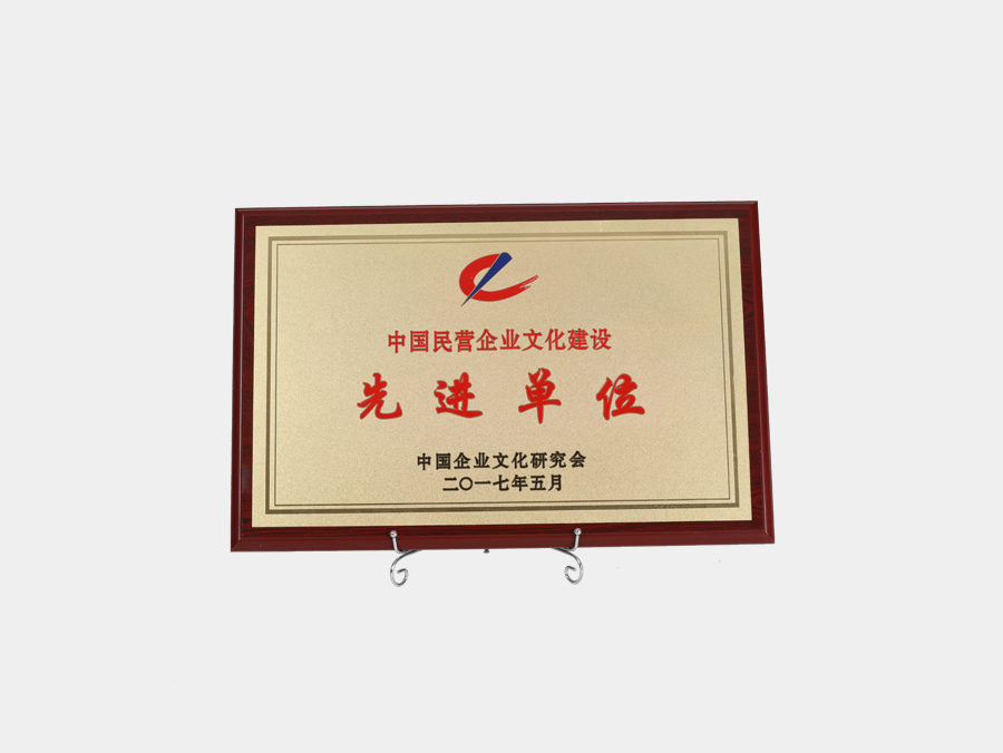 中国民营企业文化建设先进单位